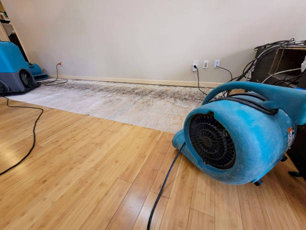 Professional Structural Drying technician working in Scranton, NC